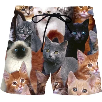 Летние короткие штаны с милыми кошками, женские мужские плавки с 3D принтом, пляжные шорты, Спортивные свободные шорты для скейтборда