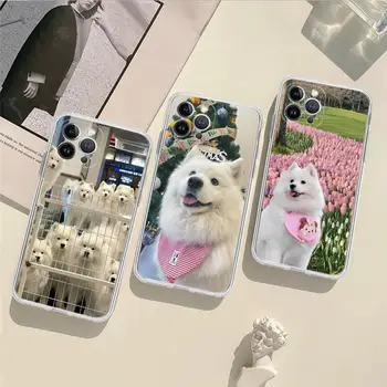 Мягкий силиконовый чехол для телефона с прекрасной самоедской собакой для iphone 15 14 13 12 11 Pro Mini XS MAX 8 7 6 Plus X XS XR Cover