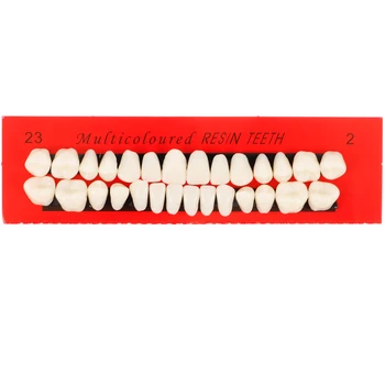 1 комплект из 28 предметов, модель зуба, модель постоянных зубов, демонстрационная модель зубов, обучающий реквизит для зубов из смолы, модель человеческих зубов