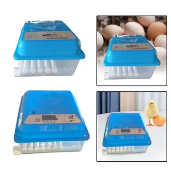 Инкубатор для яиц для цыплят с автоматическим переворачиванием яиц, Маленький инкубатор для домашней птицы, инкубационные яйца для фермы по выращиванию перепелиных, гусиных, куриных голубей.
